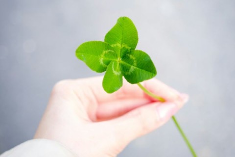 4 Reasons Your A/B Split Test Results Aren’t Statistically Significant—And How to Fix Them